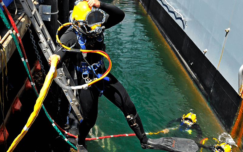 Blue Phoenix Marine