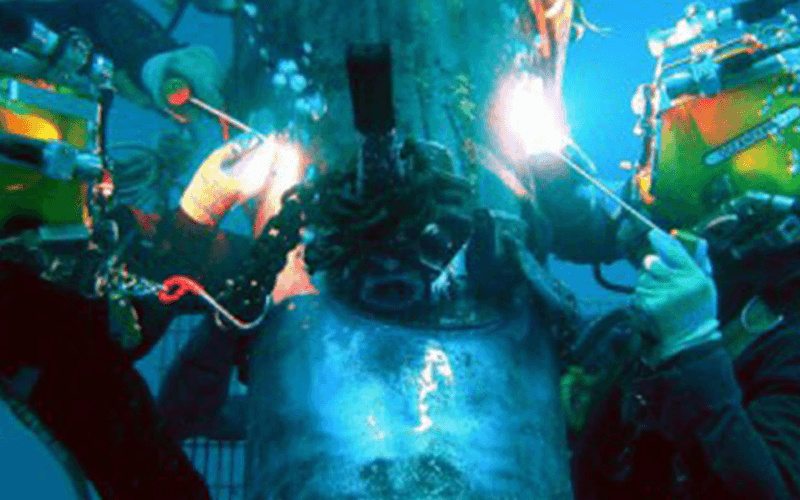 Blue Phoenix Marine